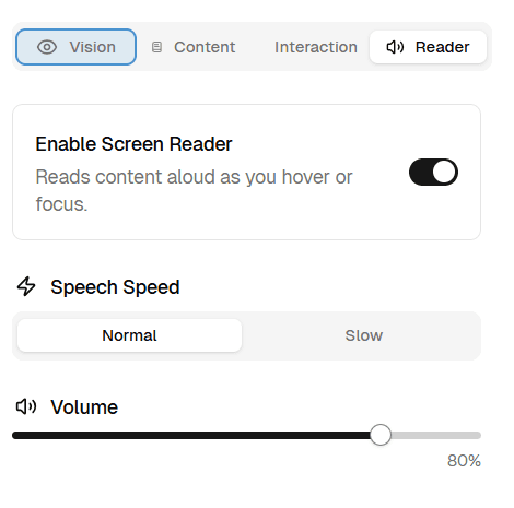 Accessibility Panel Screenshot 2